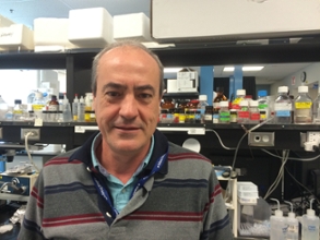 Dr. Pedro Grandes